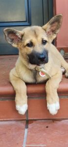 “Το Πλάσμα”