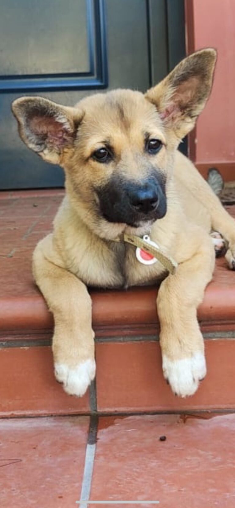 “Το Πλάσμα”