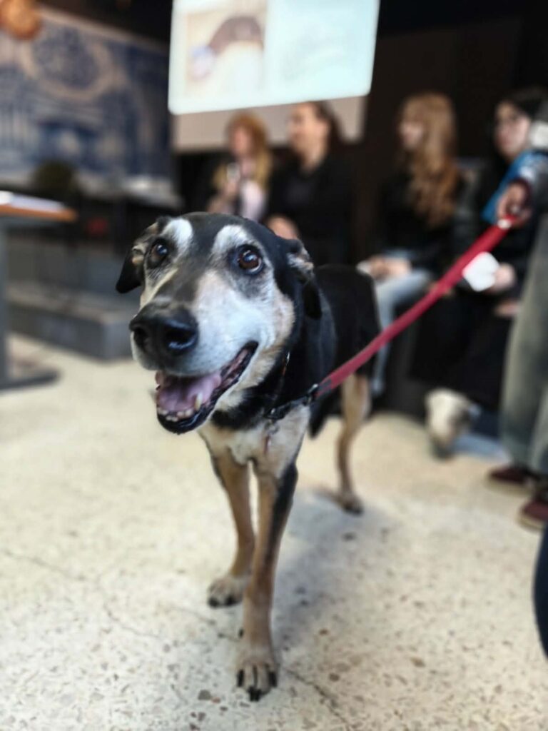 677655452_1416453003618555_216668860732054742_n